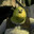 Shrek2onDVD
