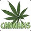 Cannabis