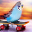 Budgie