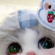 白天不懂夜的黑