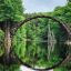 Verdant Dawn