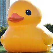 rubber duck