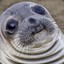 Seal Lord