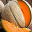 Amazing cantaloupe82