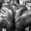 TRENBOLONE