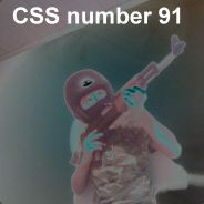 bReSaL | CSS number 91