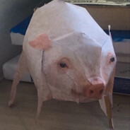 SVIN:pig: