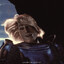 Albert Einstein