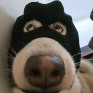 你可以被砍倒闭吗