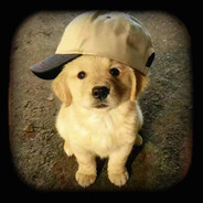 为你学会写情书