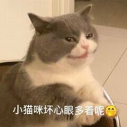 小猫咪能有什么坏心眼
