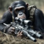 Sniper Monkey YT