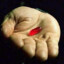 eu sou redpill