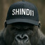 shindi1