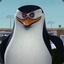 Skipper