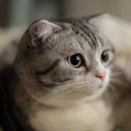 讨厌沙滩小镇普通瘦子