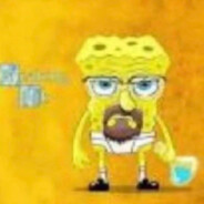 Walter Sponge