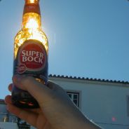 kaeptnjoker - steam id 76561197964416008