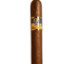 CHARUTO COHIBA ORIGINAL DE CUBA