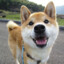 MrDoge27_