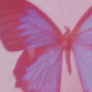 小樱花（♾️版