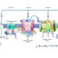 oxidative_phosphorylation