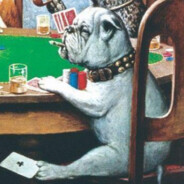 Gambling Dog