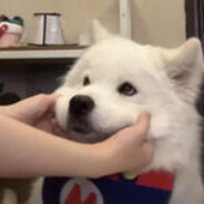 13岁天才少年阿坤