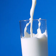 Milk