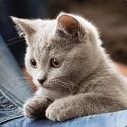 除了我都是篮子