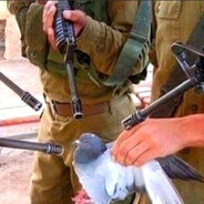 יום בחייו של קטו