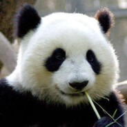 President Xi's Reform Minister