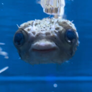 烈酒不如你说射进来爽