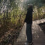 自由小风