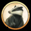 Chinesebadger