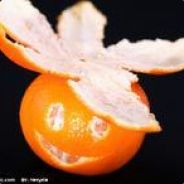 传说中的大橘子