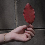 Ɑ͞ ̶ ̶͞ ̶͞ ﻝﮞ