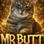 Mr. Butt