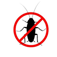 Врачебная Тайна