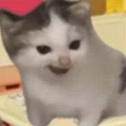 榛果拿铁小精灵