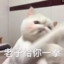 宝剑配英雄
