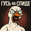 ГУСЬ_НА_СПИДЕ
