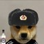 Soviet DoGo