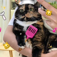 芋泥麻薯巴斯克