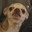 it me gog