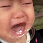 老虎油卑鄙再次爱上你