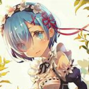 是爱雷姆的家伙呢