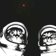 悠哉不再独自在