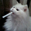 richie