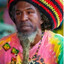 Wanderlei Hawstafari Silva